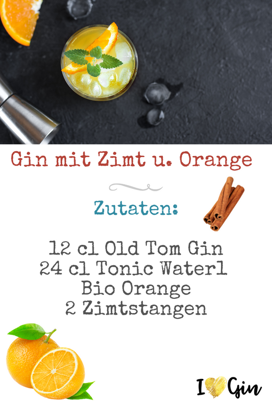 Gin Tonic mit Zimt und Orange